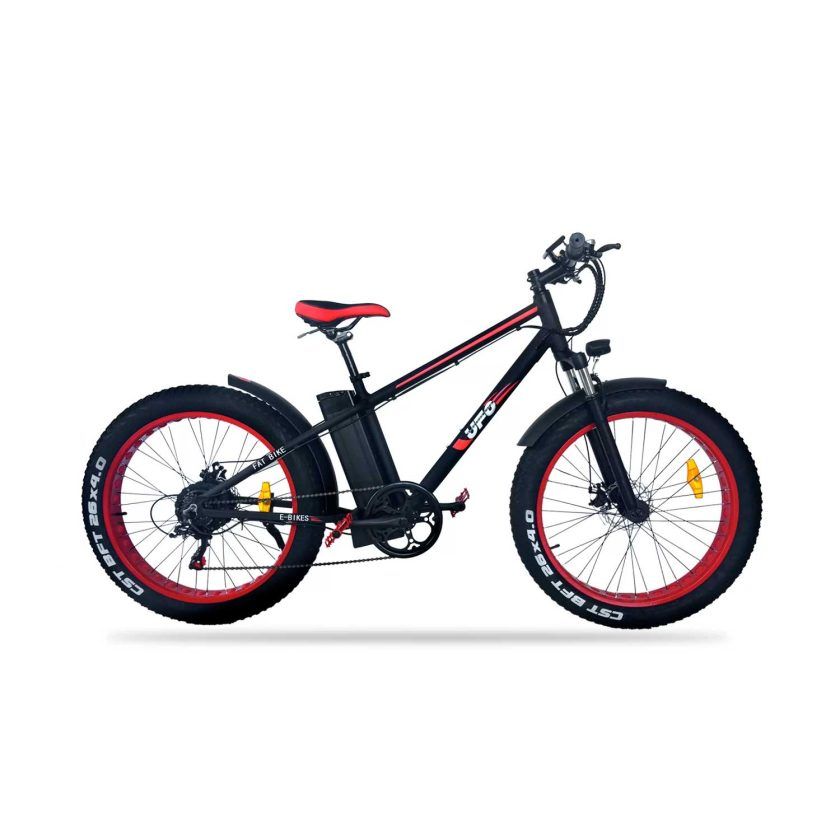 Fat Bike - Ufo Eco Bike